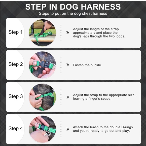 Dog harness and leash set - Picture 6 of 7